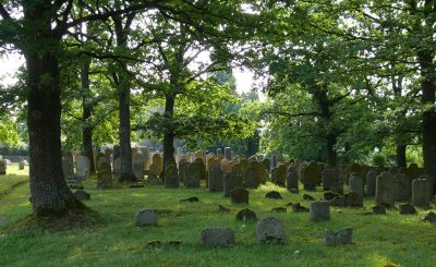 Bild des Friedhofs im Sommer
